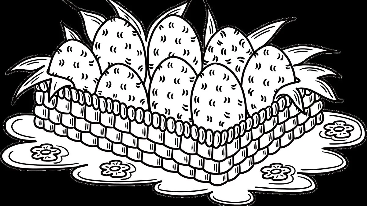 尼克斯历史性逆转明星同庆年轻球员成长路径成焦点